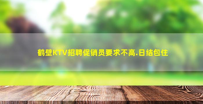 鹤壁KTV招聘促销员要求不高.日结包住